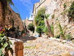 183 HYERES ET SES PALMIERS D13_000015